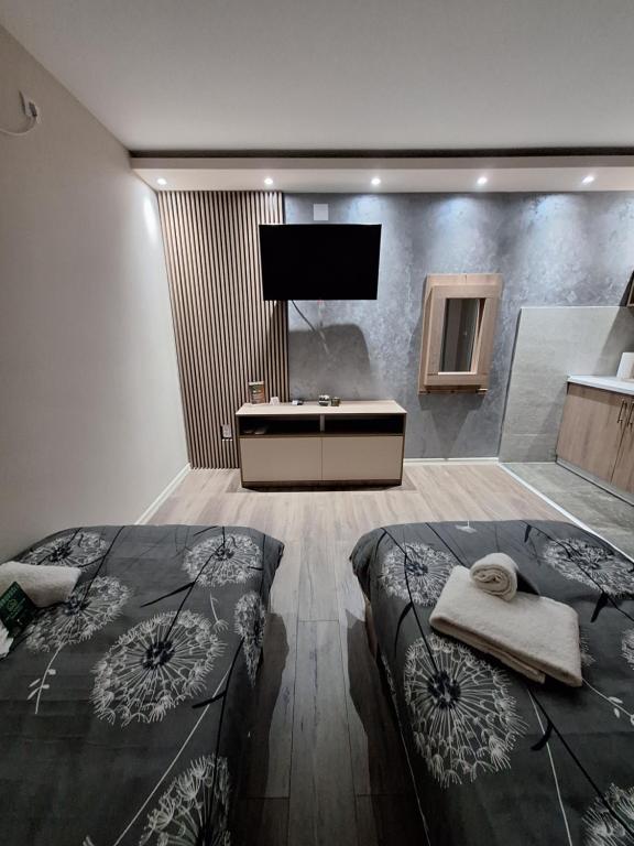 TV a/nebo společenská místnost v ubytování Apartments Green Beograd