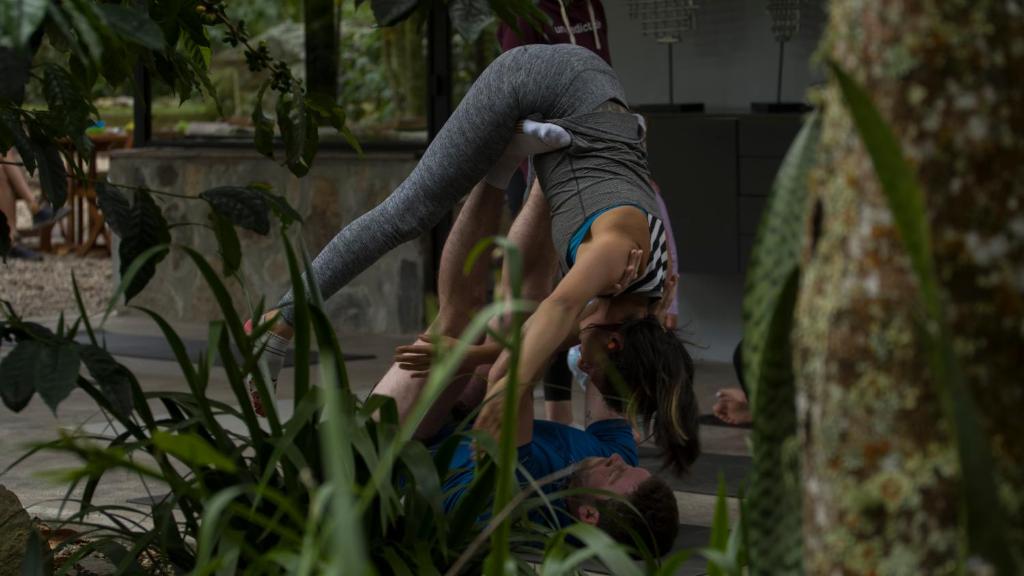 Hosté ubytování Hotel La Palma y El Tucán - Café y Naturaleza