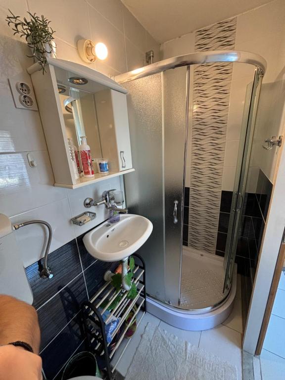 a bathroom with a shower and a sink at Kneginje Ljubice Apartment in Belgrade