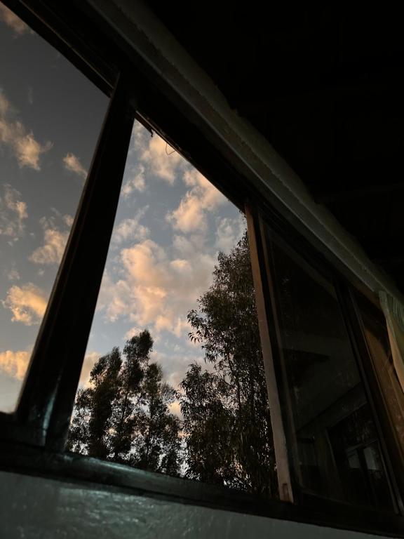 a window with a view of trees in the sky at Sol de Huanchac in Huaraz