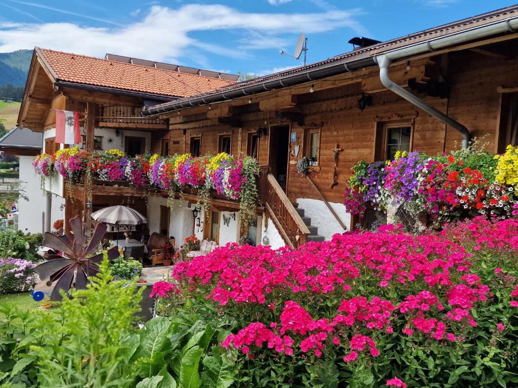 A garden outside Badhaus