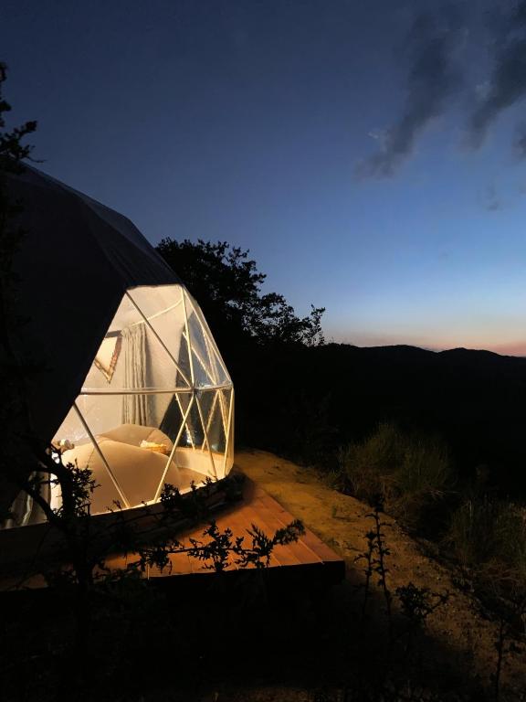 Příroda nedaleko luxury tent