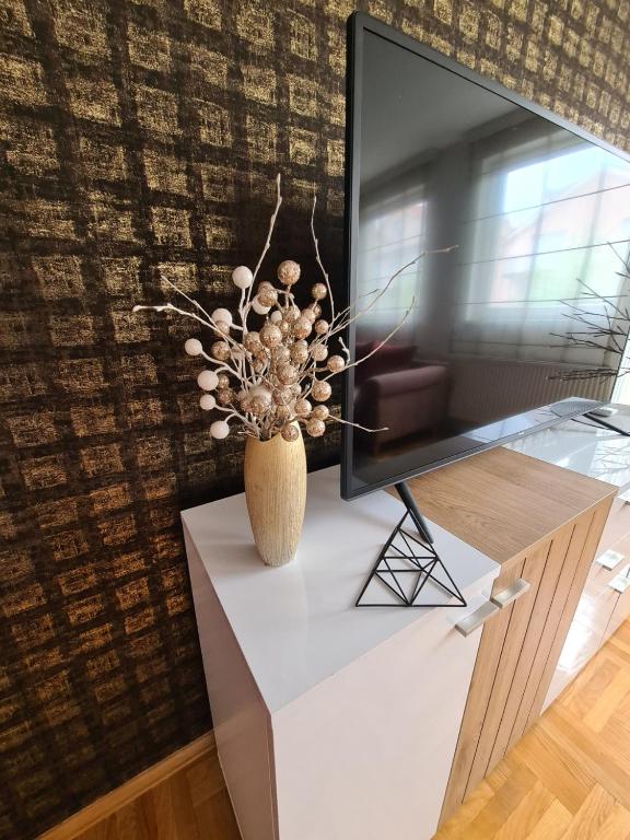 a vase of flowers sitting on a tv stand at Sunrise apartman kod parka in Bijeljina