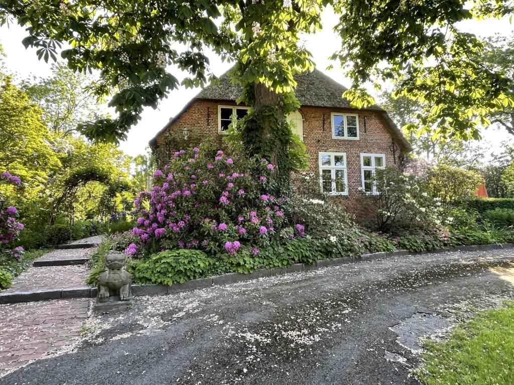 a house with a flower garden in front of it at Ferienwohnung "Altes Pastorat" in Welt