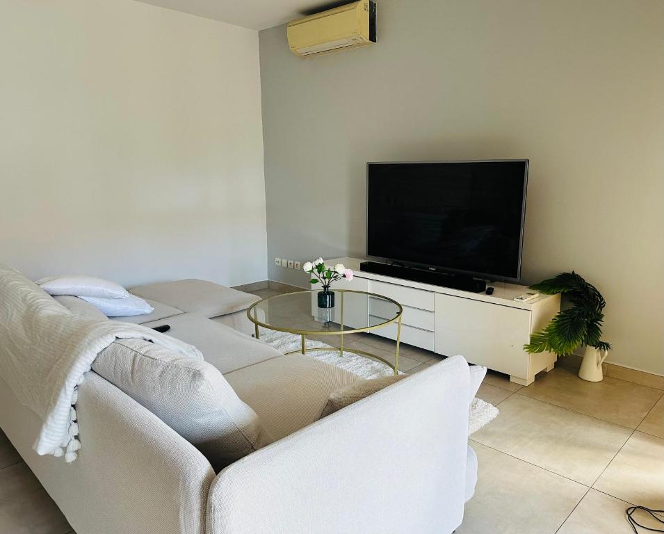 un salon avec un canapé blanc et une télévision dans l'établissement Logement terrasse chute la vie, à Marseille