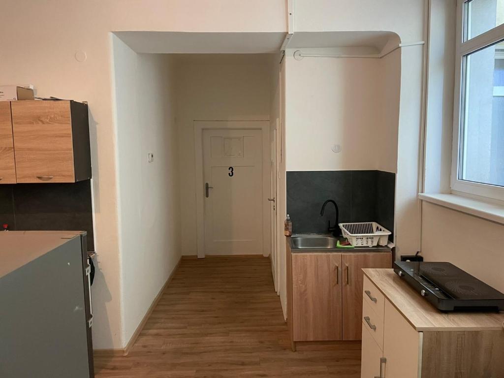 Kuchyň nebo kuchyňský kout v ubytování Black Style ROOMS Moravske namesti