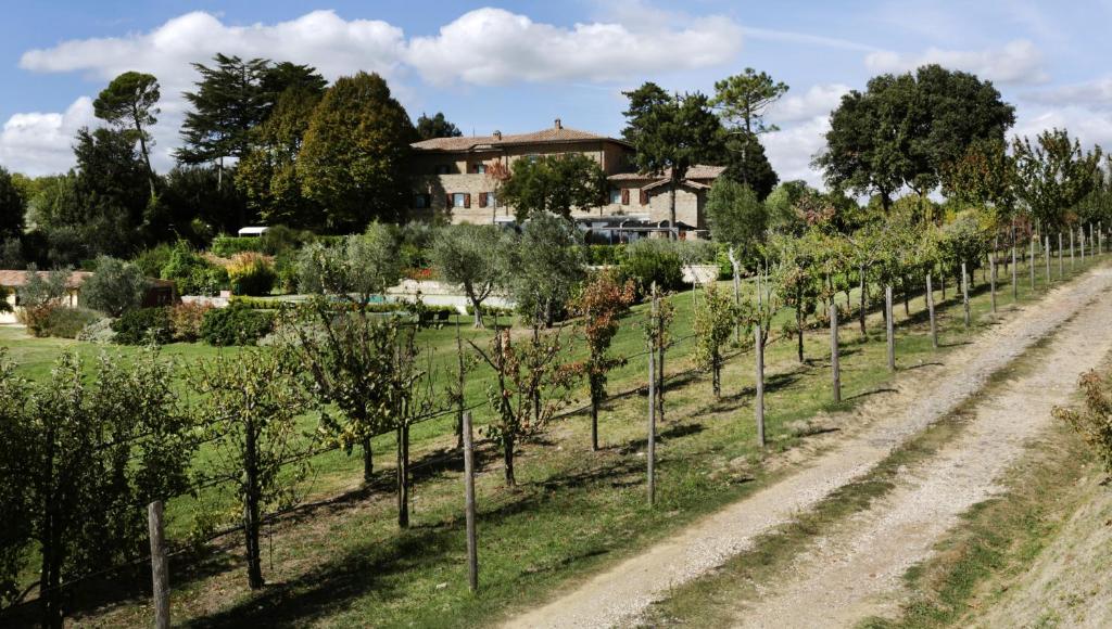 Zahrada ubytování Tenuta Ponziani Wine Resort&Spa