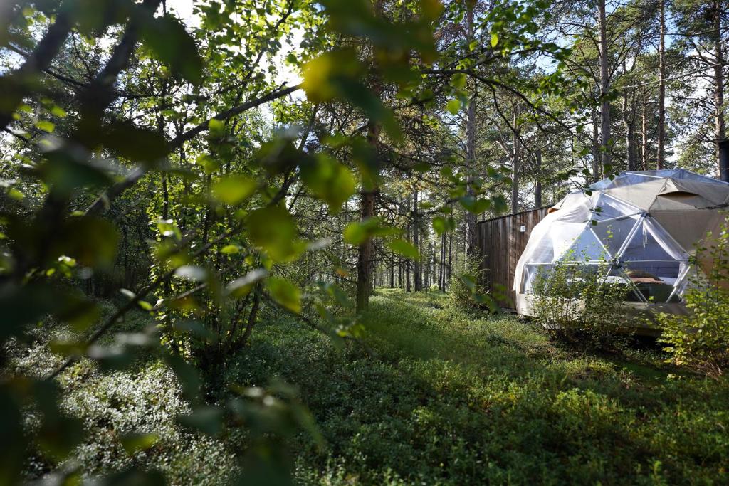a tent in the middle of a yard at GLØD Aurora Canvas Dome in Alta
