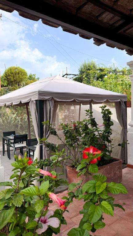 Zahrada ubytování Il Cigno B&B