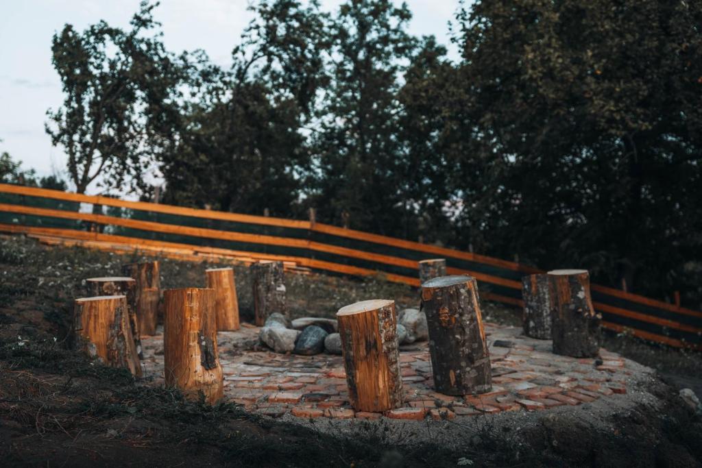 Fotografie z fotogalerie ubytování Vaideeni Glamping v destinaci Izvoru Rece
