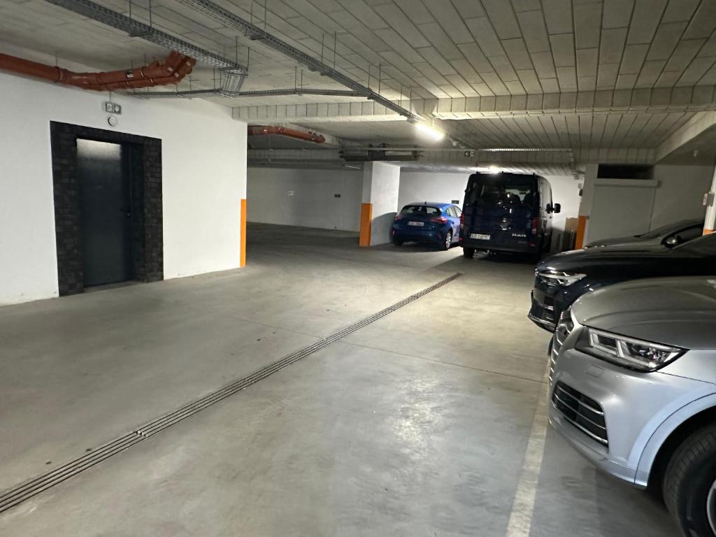 Apartamenty FIGARETTI - 17