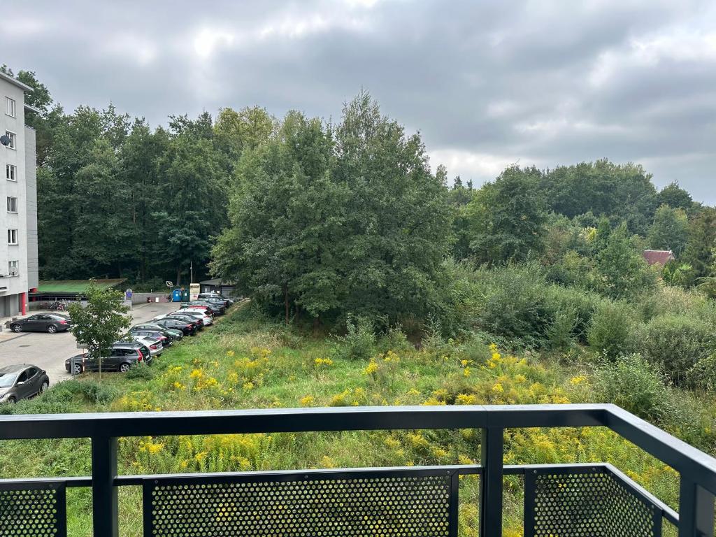 Apartamenty FIGARETTI - 11