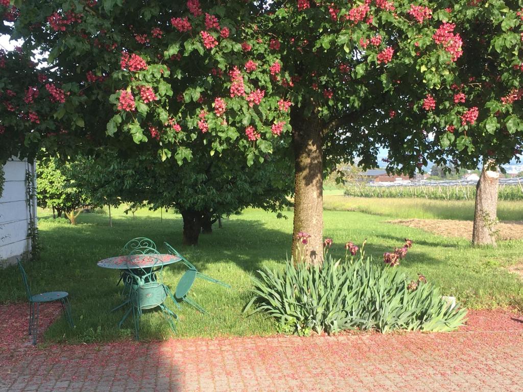 Aed väljaspool majutusasutust B&B Domaine En Trembley
