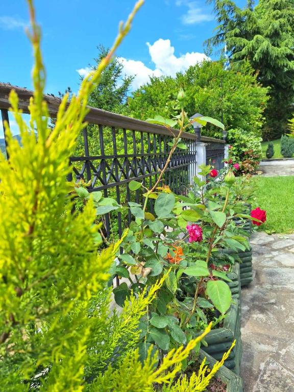 Zahrada ubytování Philoxenia Hotel