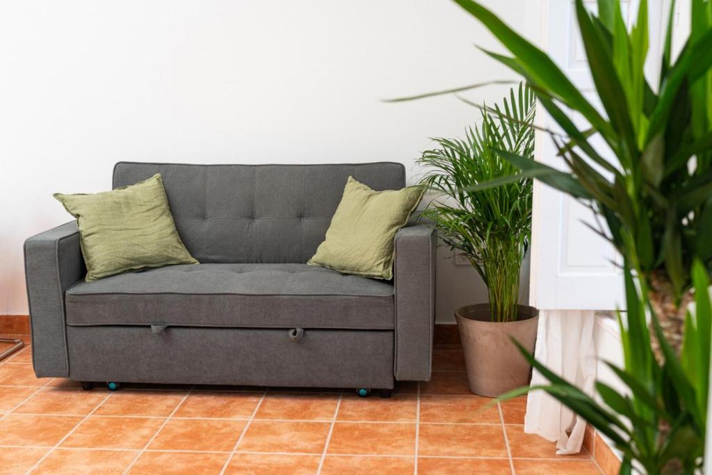 a gray couch with two pillows on it in a room with plants at Centro apartamento 2-D in Huelva