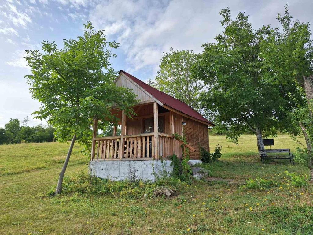 Zahrada ubytování Ecopark Sadzhaka