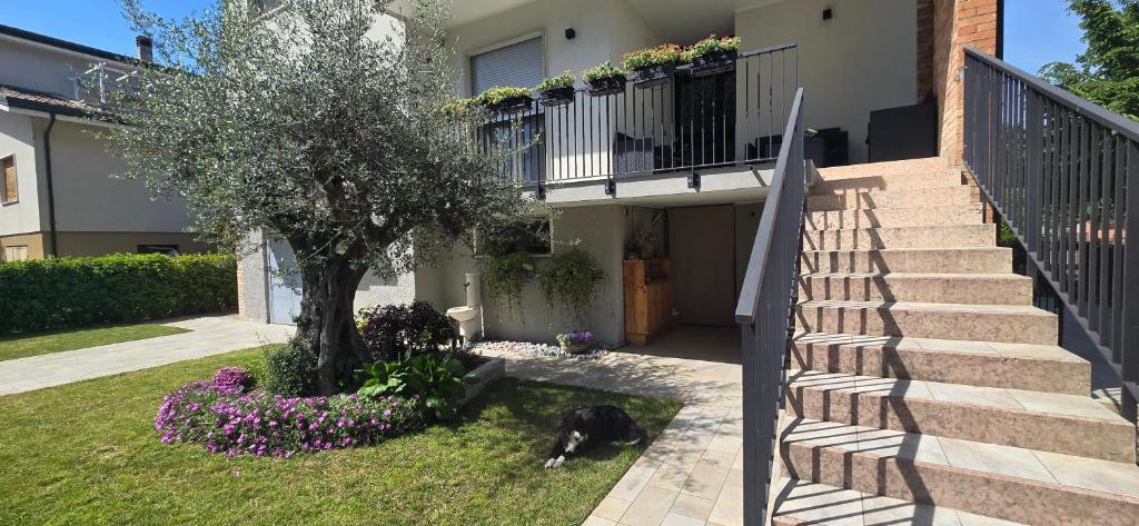 Ca' Olivo - Three-Bedroom House