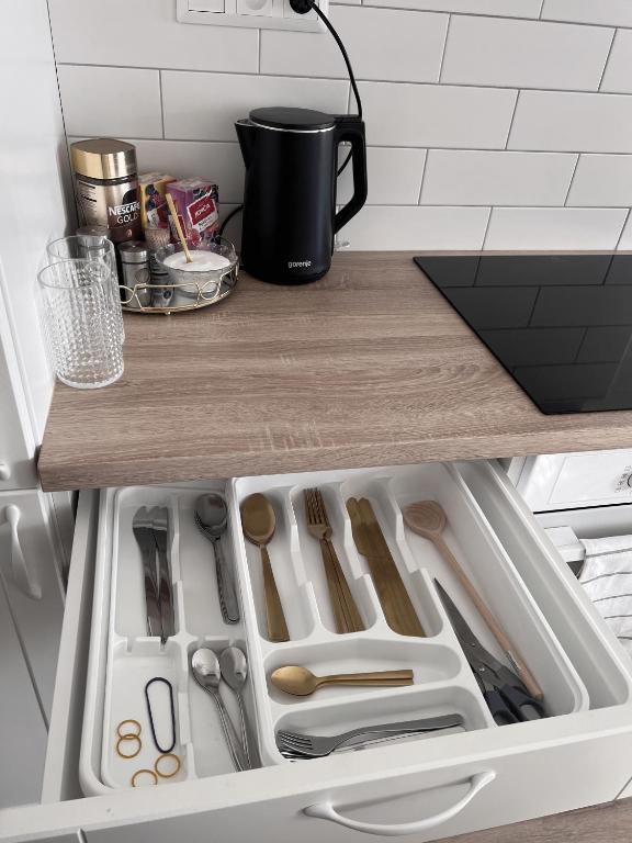 Kuchyň nebo kuchyňský kout v ubytování Apartmán Queen