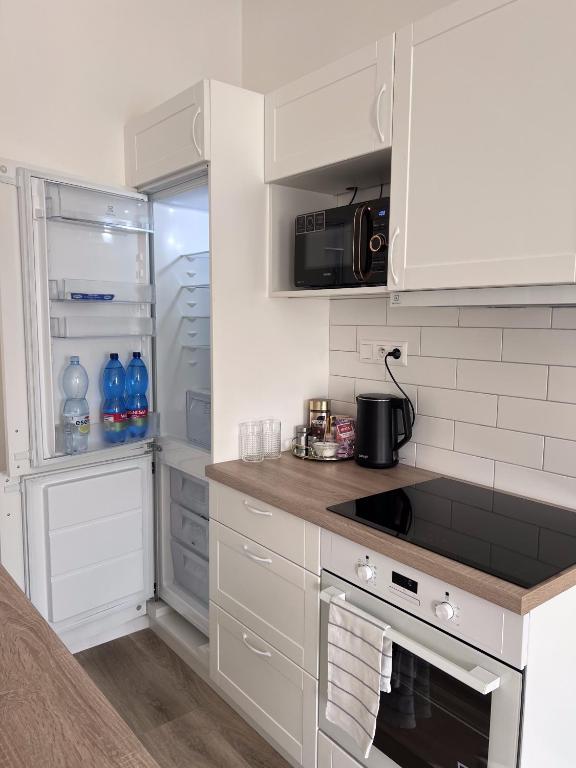 Kuchyň nebo kuchyňský kout v ubytování Apartmán Queen