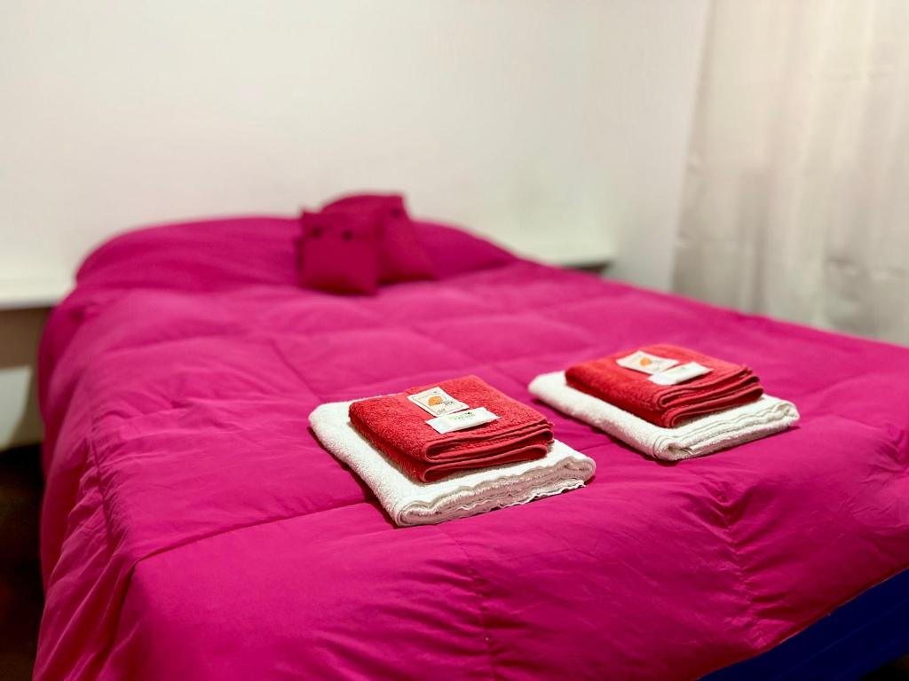 Ένα ή περισσότερα κρεβάτια σε δωμάτιο στο Hermoso departamento en la Peatonal de Mendoza