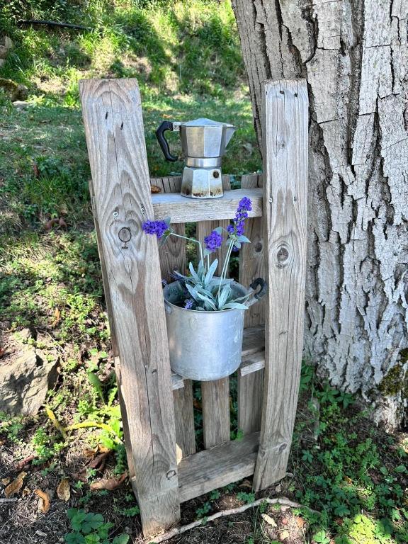 Zahrada ubytování La Lavandula