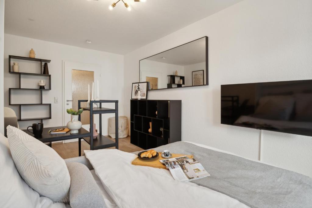 TV a/nebo společenská místnost v ubytování Beautiful Apartment in Lörrach close to Basel