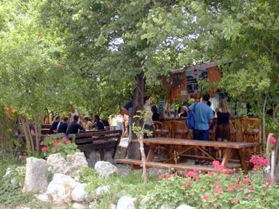 a group of people sitting at a picnic table in a park at Bayrams Tree Houses in Olympos
