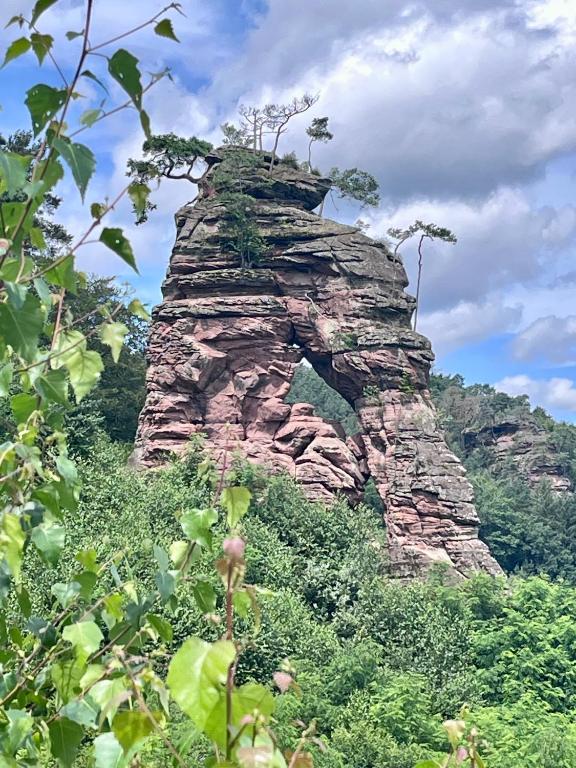 Příroda nedaleko apartmánu