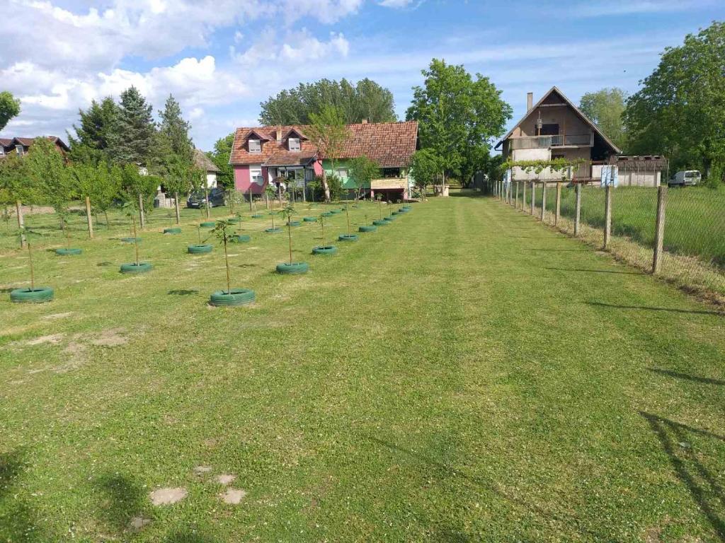 Vikendica Budžak 51 - Apatin - Housity
