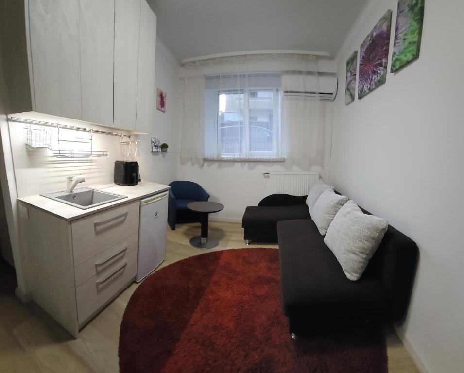 Dapur atau dapur kecil di Kauno apartamentai 1 bed room