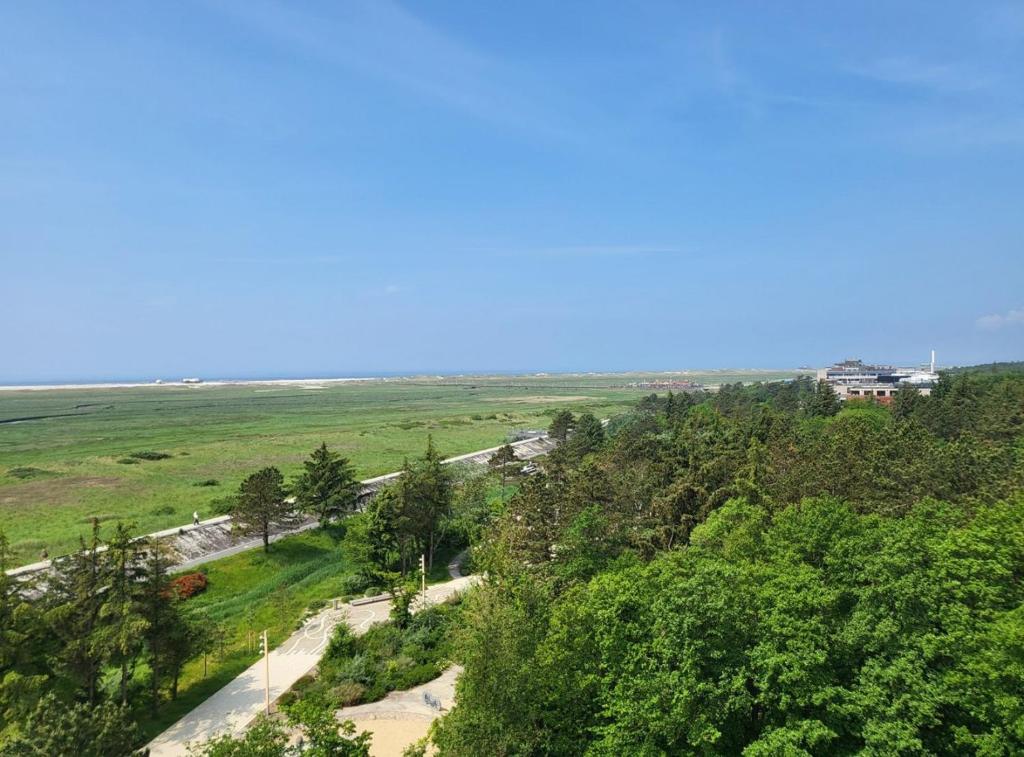 vista in alto di una strada in un campo di FeWo Meeresblick SPO a Sankt Peter-Ording