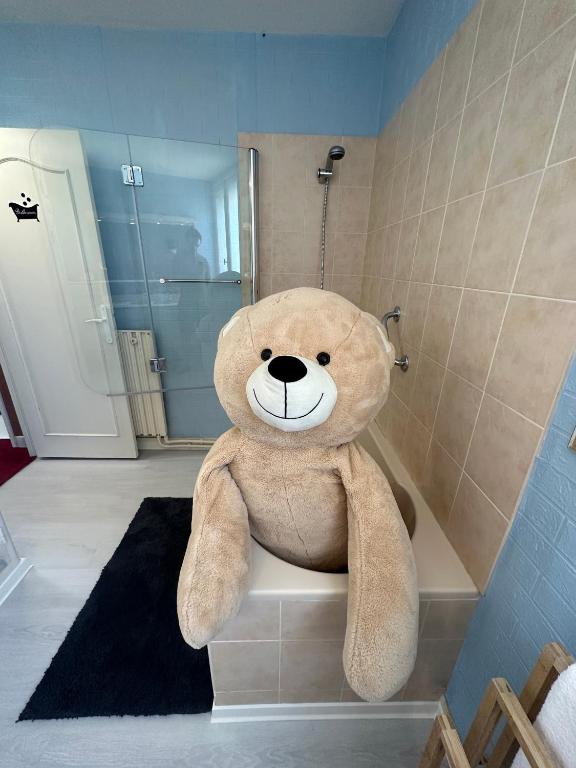 Koupelna v ubytování Le Calme Relaxant Chambre Privative
