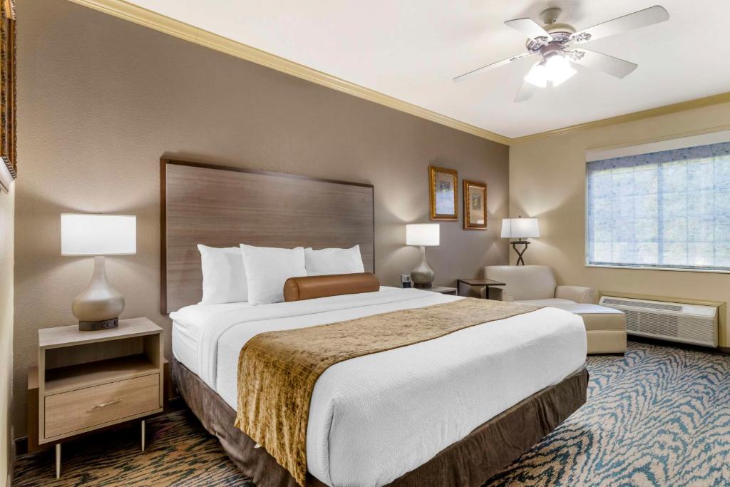 Best Western Plus Crown Colony Inn & Suites - King Room With Roll-In Shower - Mobility Access