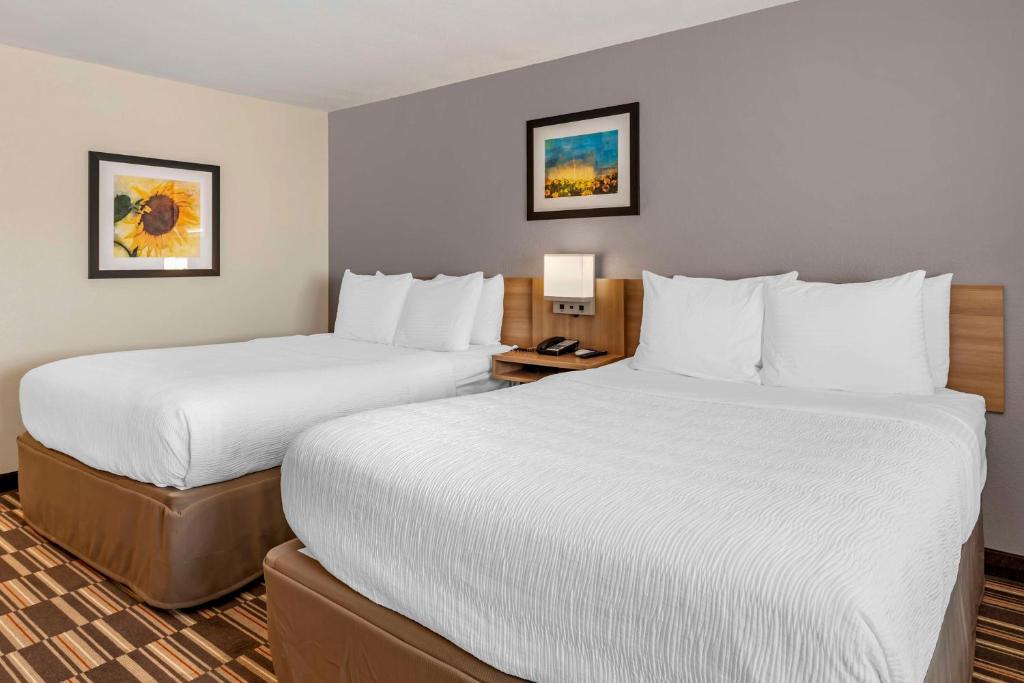 Best Western Limon - Habitación Queen Con Dos Camas Queen