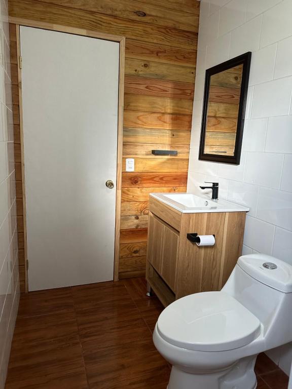 un bagno con un water bianco e un lavandino di Cabañas Aires de Huerquehue a Panguipulli
