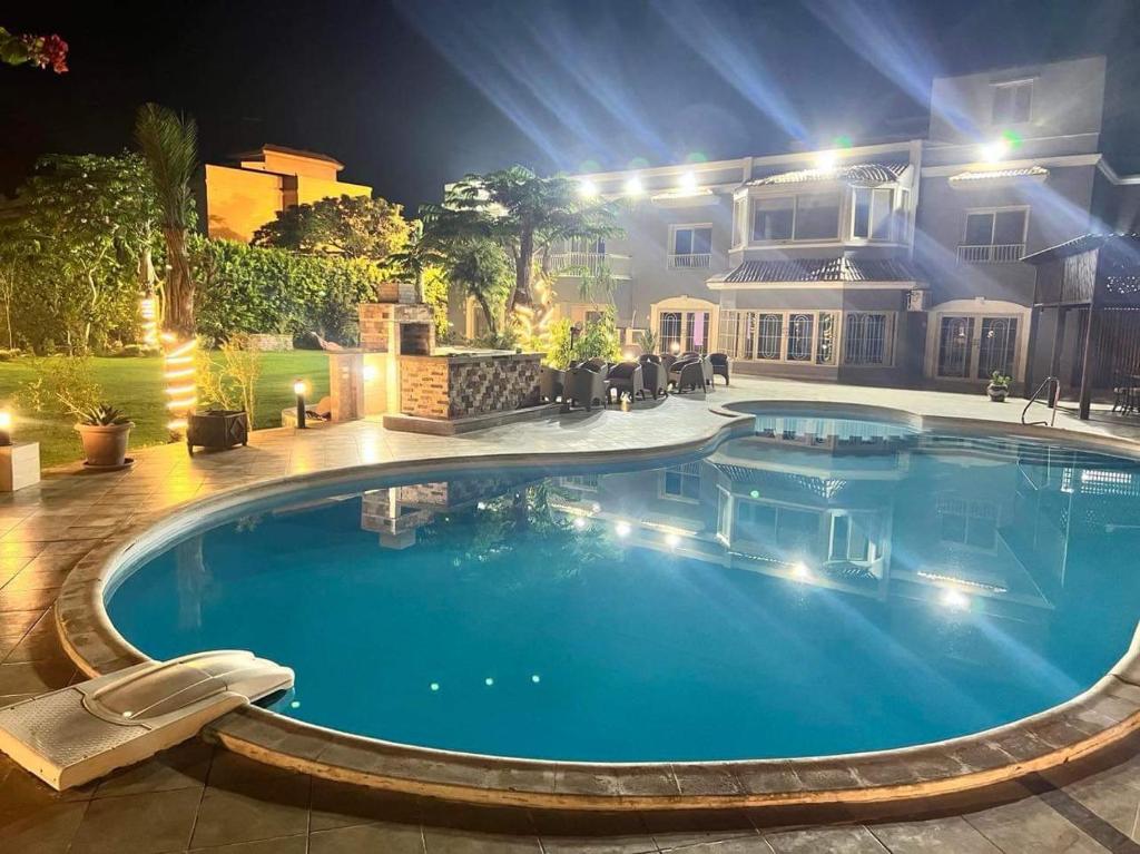 Egypt Oasis