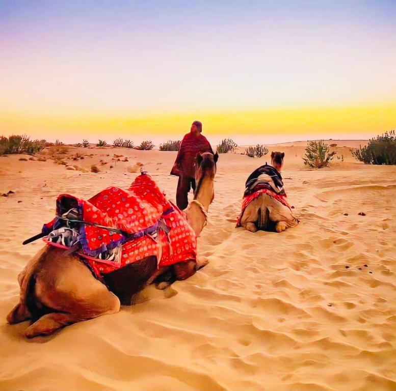 Clients de Jaisalmer Hostel Crowd