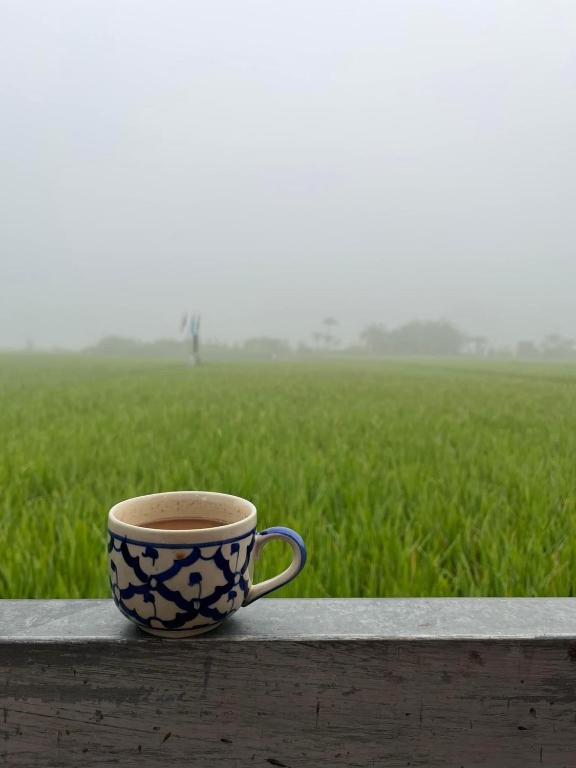 Fotografie z fotogalerie ubytování Nan View Farmer Lumduan Homestay v destinaci Nan