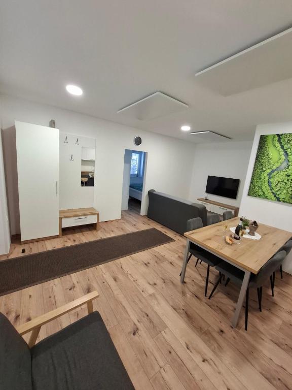 TV a/nebo společenská místnost v ubytování apartma Pohorc - Macesen