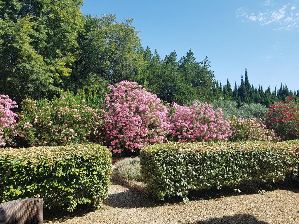 MAS DES FIGUES -très calme- Certifié Biologique FRBio10-Parc Naturel écologique vivant- piscine 12x6-Copieux brunch paysan méditerranéen du jardin cuisine maison huile d'olive-Agritourisme-Alpilles-Saint Rémy de Provence- du 30 avril au 20 septembre 2026- - 15