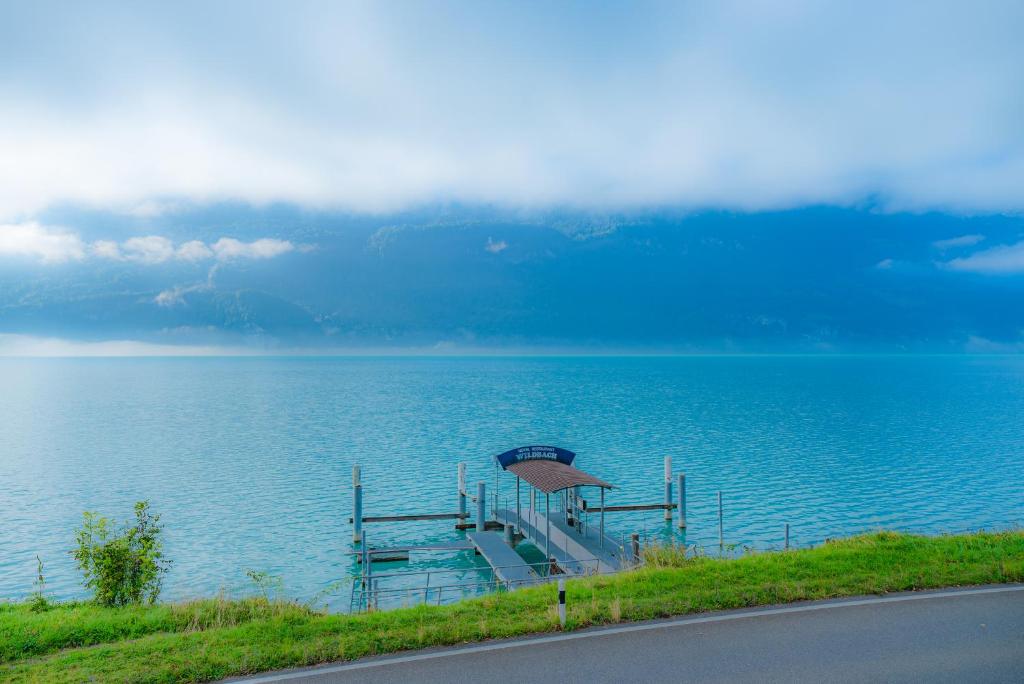 Hotel Wildbach Brienz في برينز: مرسى على كمية كبيرة من المياه
