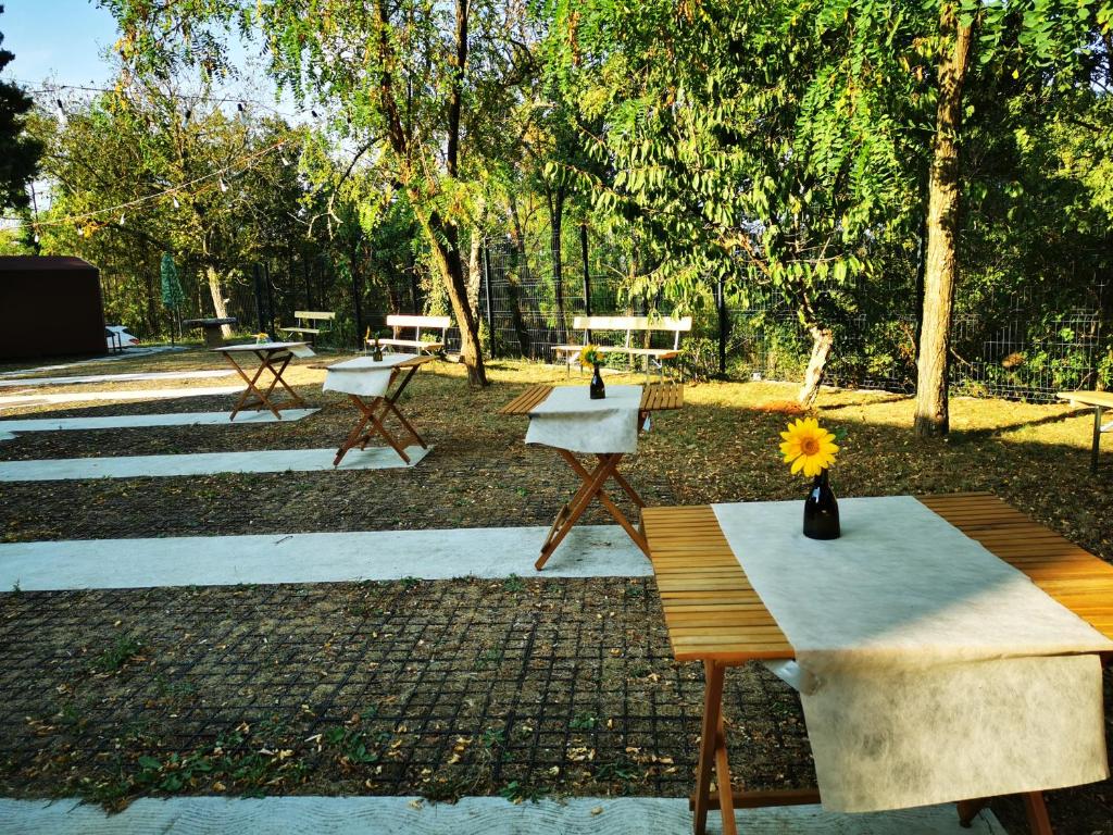 Zahrada ubytování Krasen Kras 104 resort
