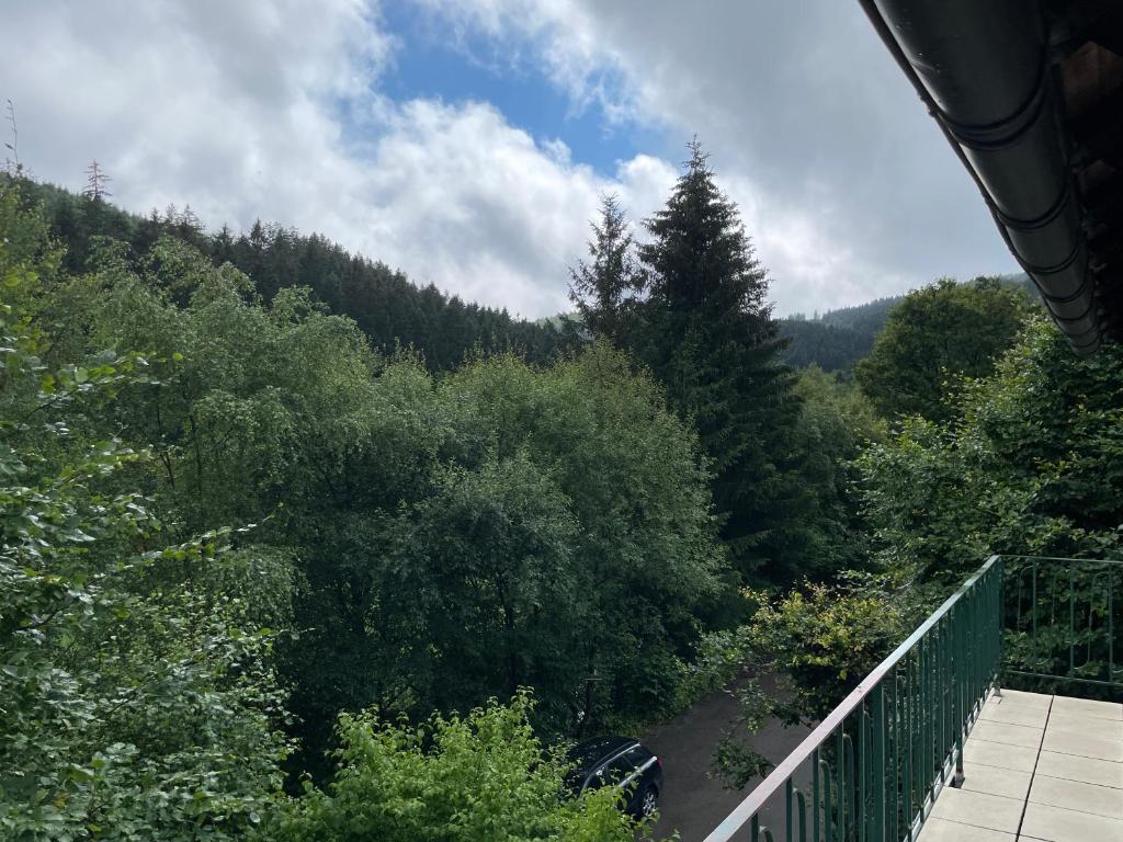 a view of a forest of trees from a balcony at FeWo Wald Idyllika in Willingen