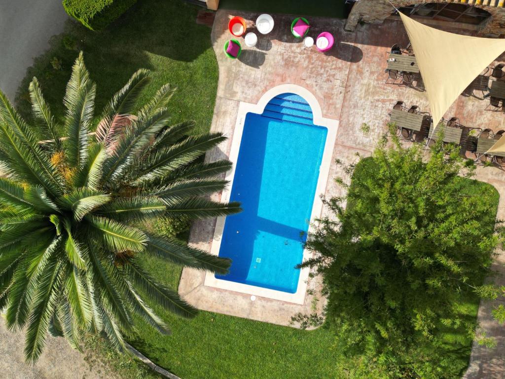 an overhead view of a swimming pool next to a palm tree at Hotel & Golf Ca La Caputxeta - Adults Only in Roses