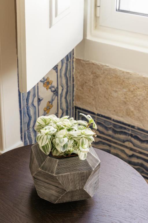 Dare Lisbon River - Resim 13