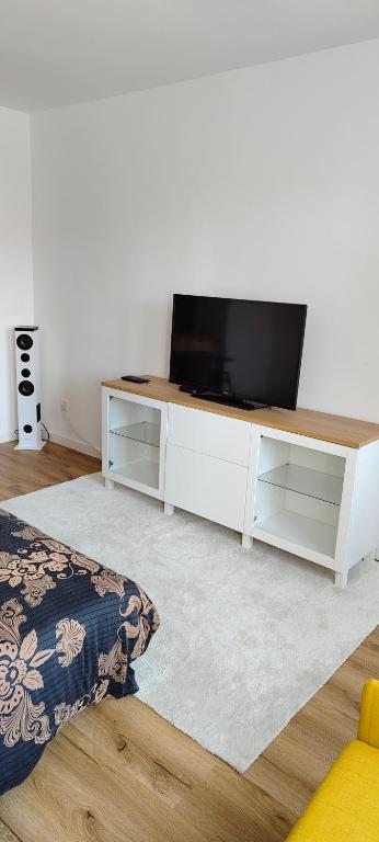 TV a/nebo společenská místnost v ubytování Studio Na náměstí