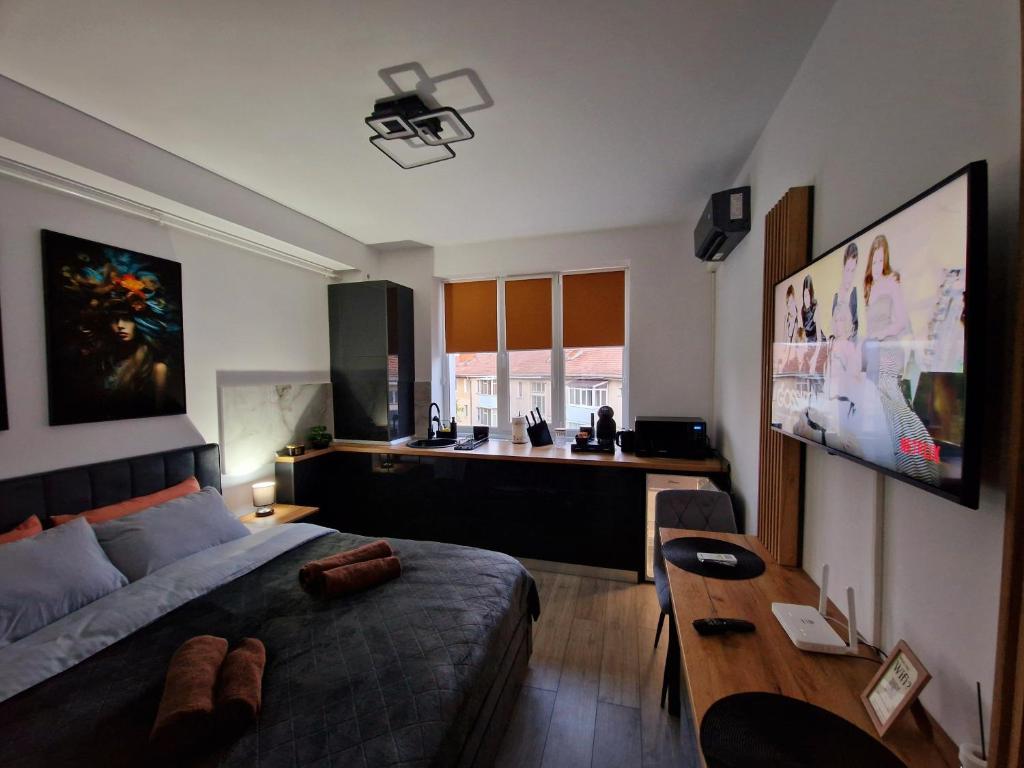 a bedroom with a bed and a table in it at Modern Studio 2 in Onești