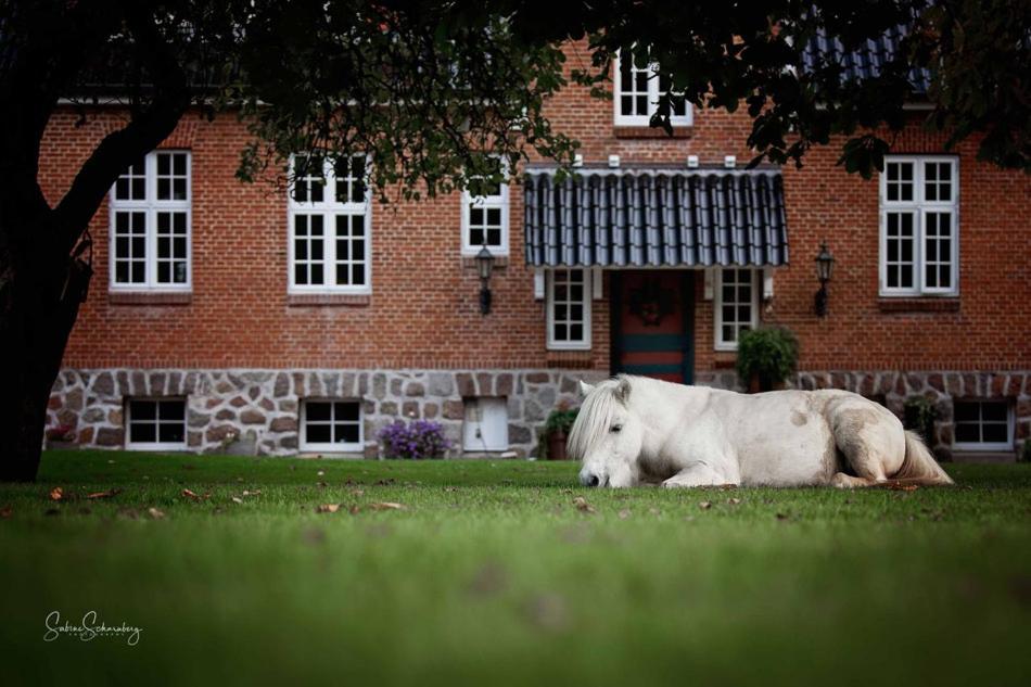 Fotografie z fotogalerie ubytování Søstgård B&B v destinaci Rødekro