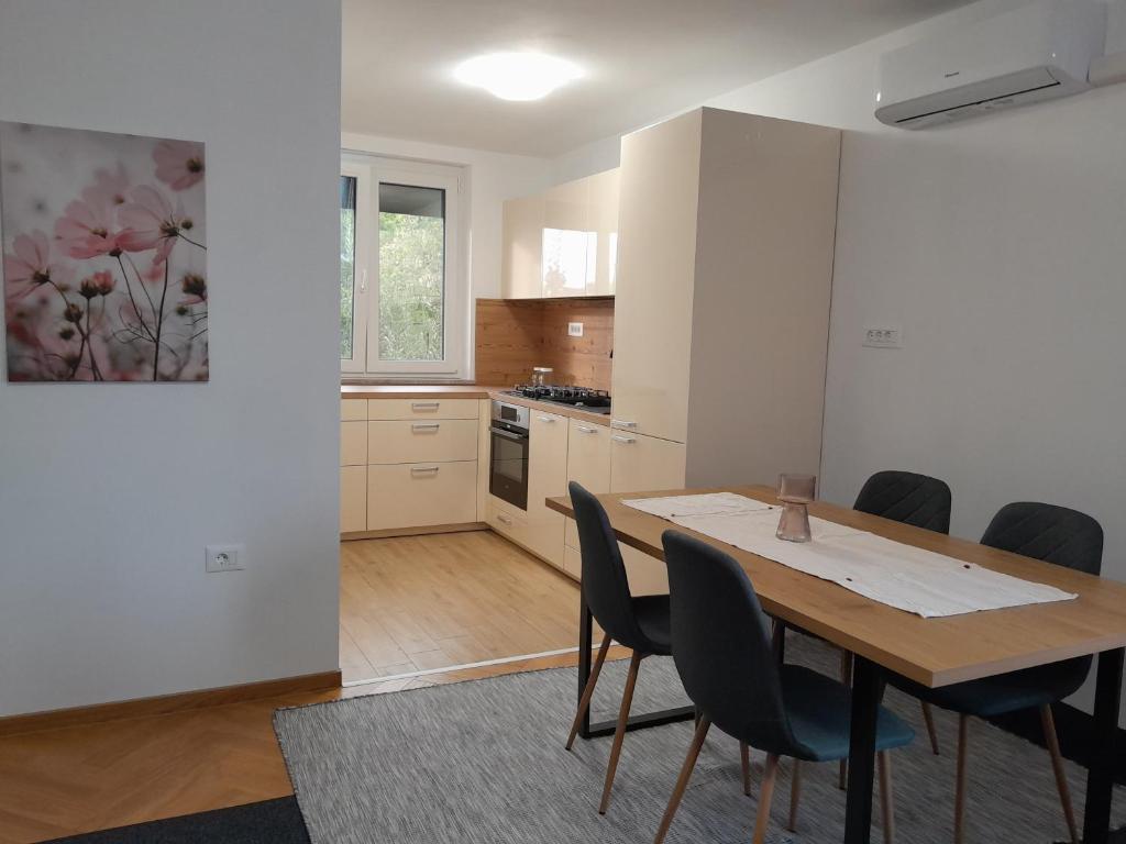 Kuchyň nebo kuchyňský kout v ubytování Apartma Dea