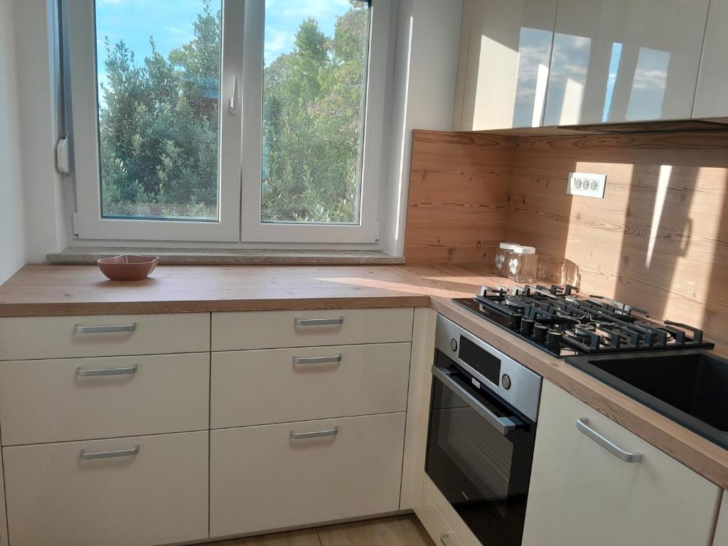Kuchyň nebo kuchyňský kout v ubytování Apartma Dea